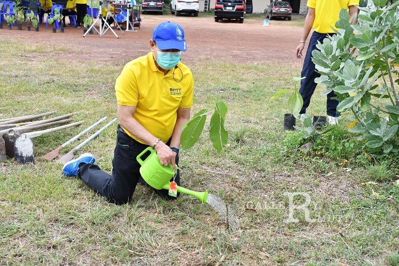 20210526-Tree planting dayt-069.JPG